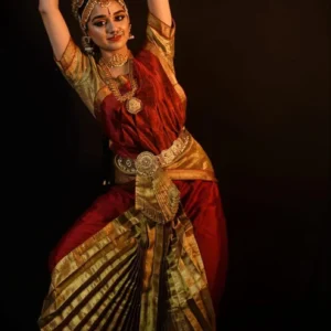 Deep Red And Gold Tones Bharatnatyam Dance Dress Costume