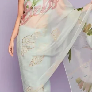 Kareena Kapoor Pastel Green Colour Bebo Saree